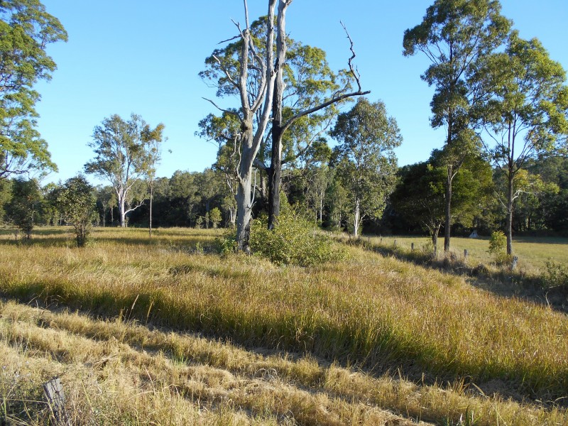 Stony Creek QLD 4514