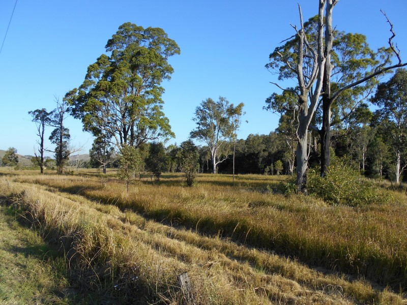 Stony Creek QLD 4514