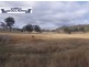 Ivory Creek QLD 4313