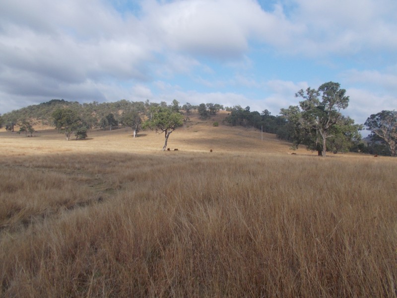 Ivory Creek QLD 4313