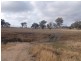 Ivory Creek QLD 4313