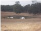 Ivory Creek QLD 4313