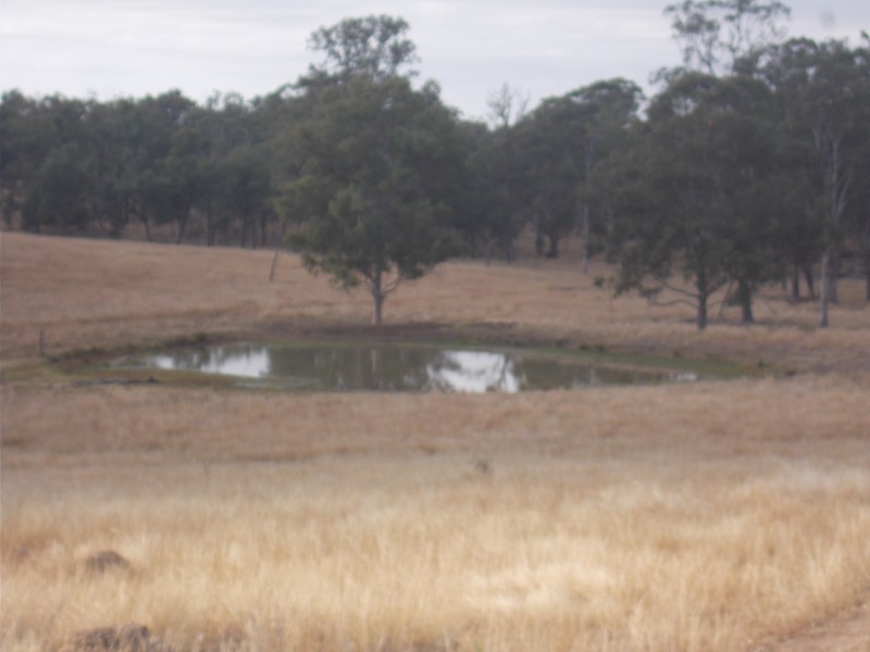 Ivory Creek QLD 4313