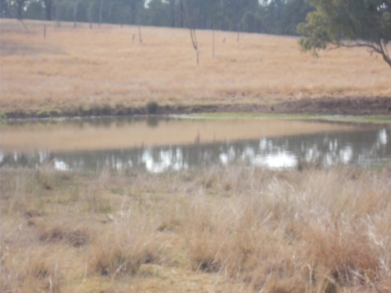 Ivory Creek QLD 4313
