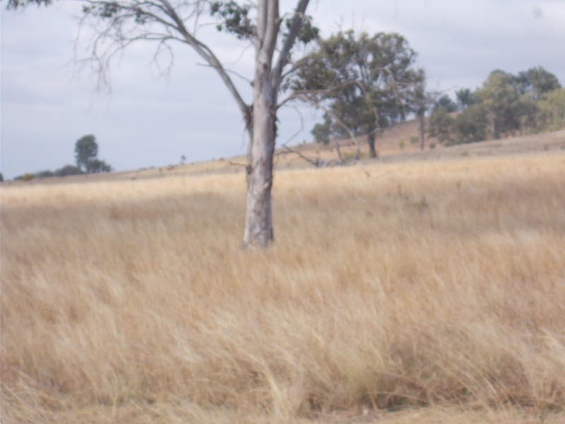 Ivory Creek QLD 4313