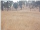 Ivory Creek QLD 4313