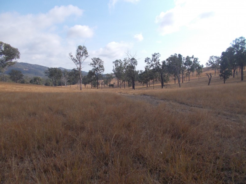 Ivory Creek QLD 4313