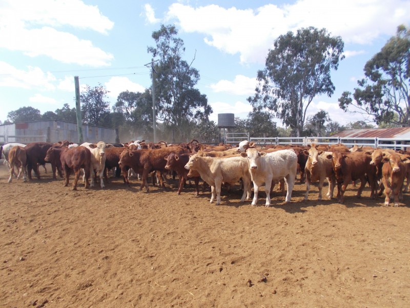 Toogoolawah QLD 4313