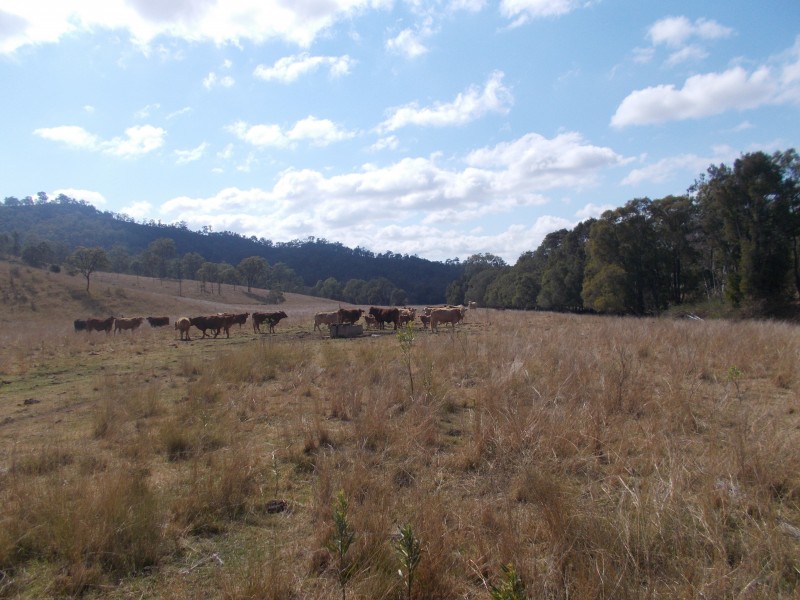 Toogoolawah QLD 4313