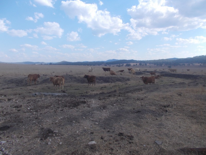 Toogoolawah QLD 4313