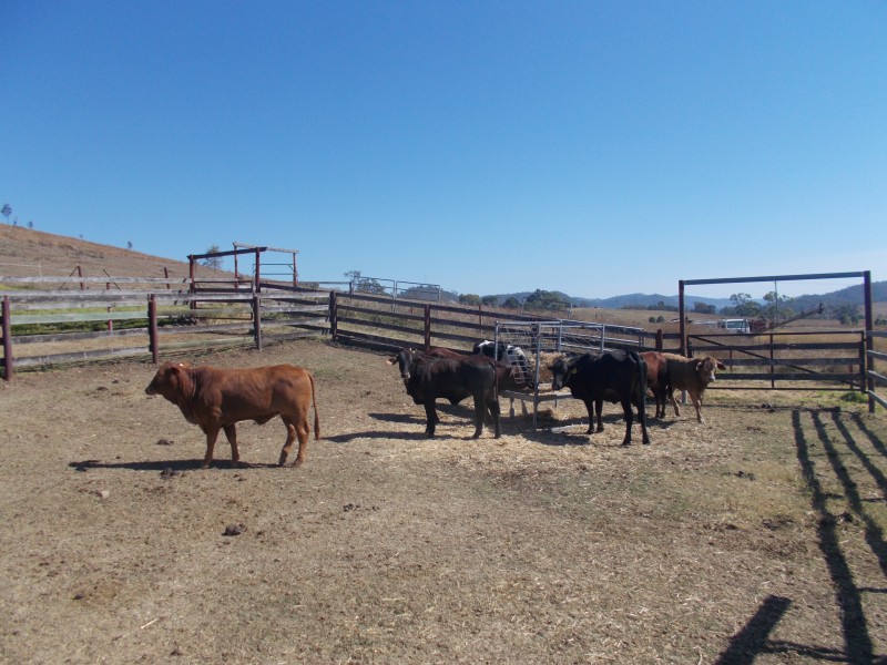 8112 D’Aguilar Highway, Moore QLD 4306