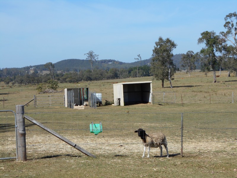 Stanmore QLD 4514
