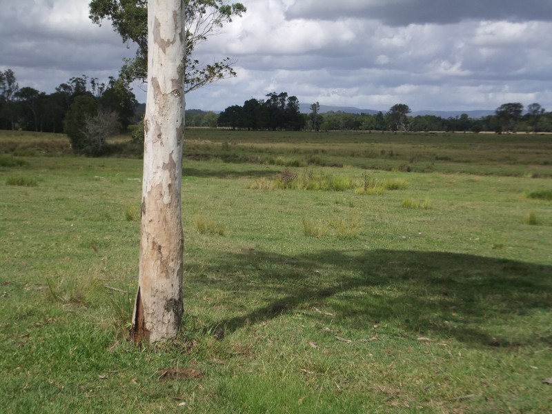 Stanmore QLD 4514