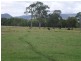 Stanmore QLD 4514
