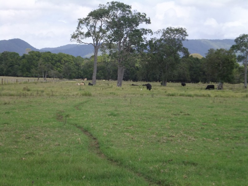Stanmore QLD 4514