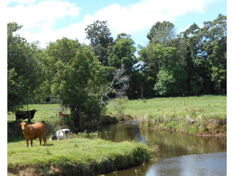 Stanmore QLD 4514