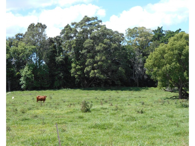 Stanmore QLD 4514
