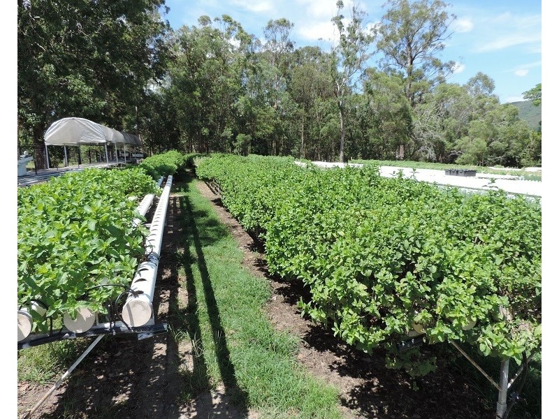 Woodford QLD 4514