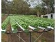 Woodford QLD 4514