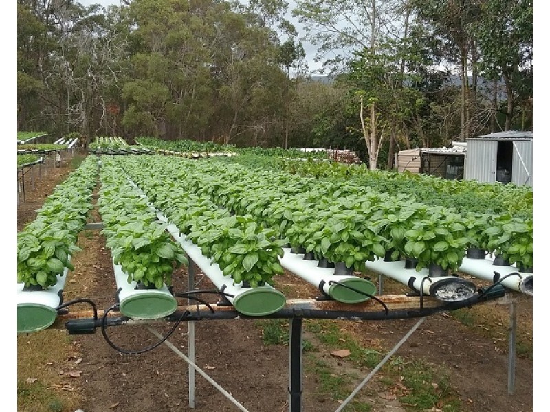 Woodford QLD 4514