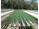 Woodford QLD 4514
