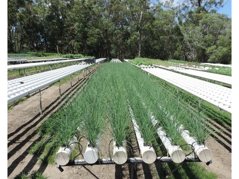 Woodford QLD 4514