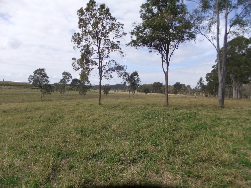 52 Dellit Road, Wamuran QLD 4512