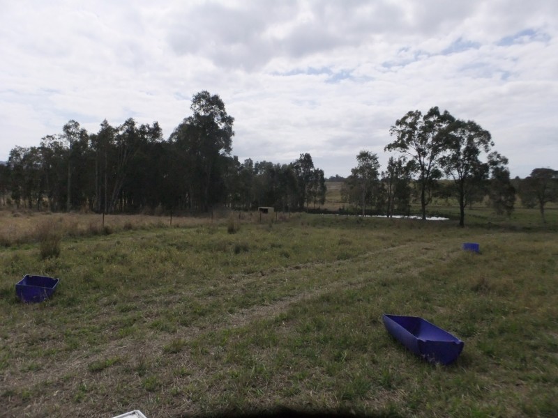 52 Dellit Road, Wamuran QLD 4512