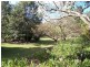 Wamuran QLD 4512