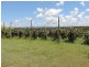 Wamuran QLD 4512