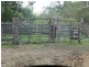 Stanmore QLD 4514