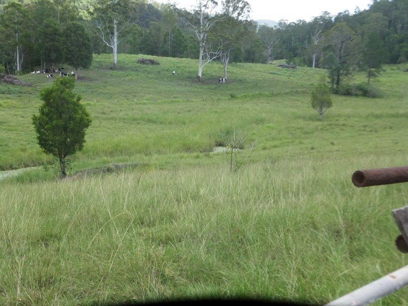 Stanmore QLD 4514