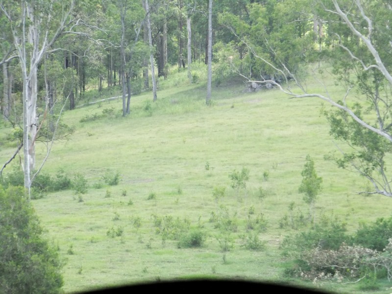 Stanmore QLD 4514