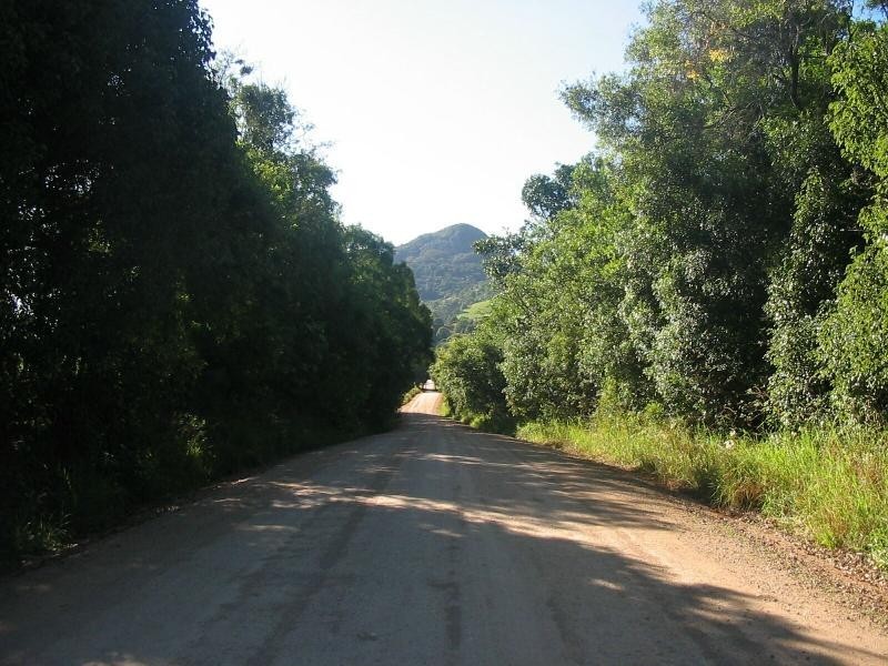 Eumundi QLD 4562