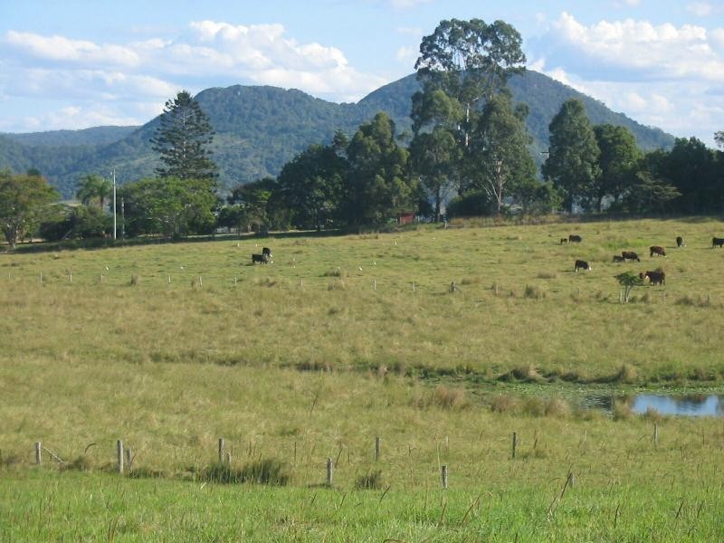Eumundi QLD 4562