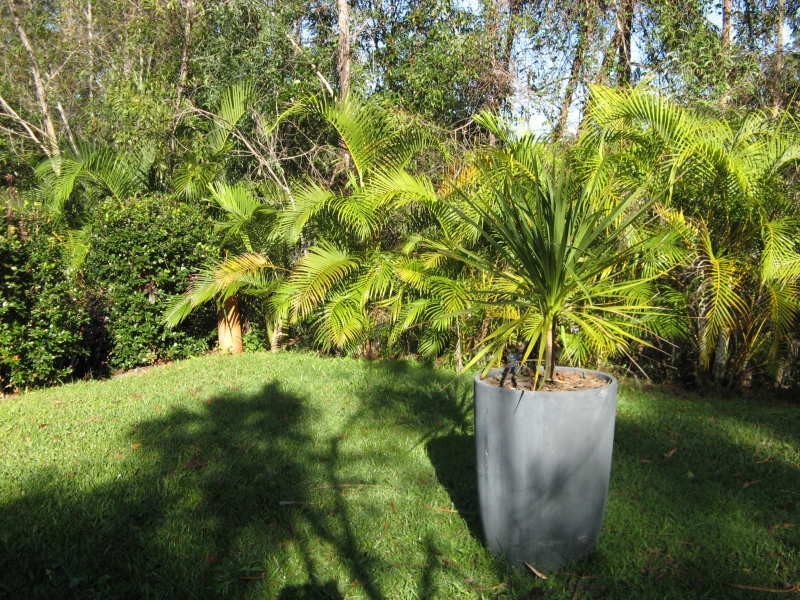 2 bowden Road, Doonan QLD 4562