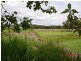 Eumundi QLD 4562