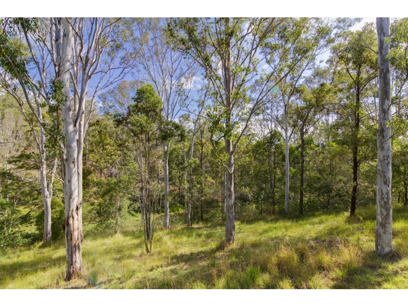 100 Fleetwood Road, Belli Park QLD 4562