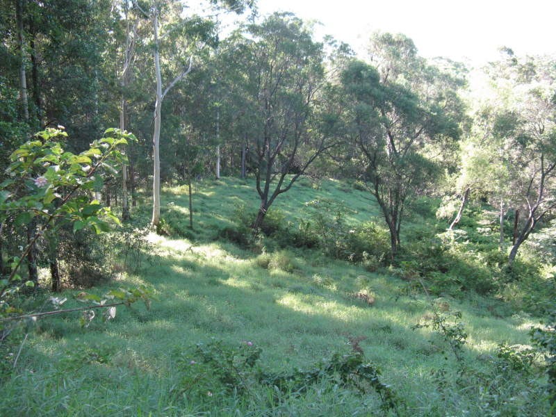 37 McIntyre Lane, Tinbeerwah QLD 4563