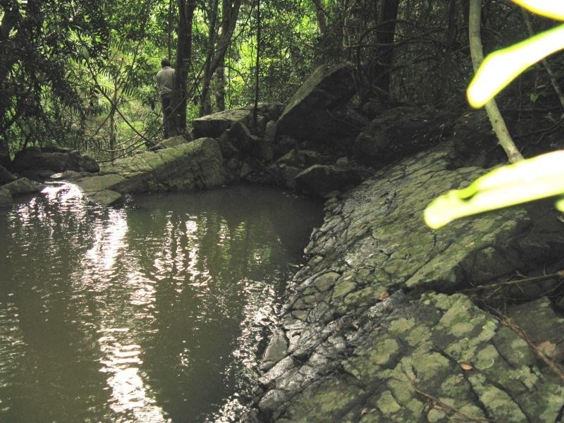 137 sunrise Road, Eumundi QLD 4562