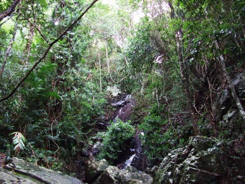 137 sunrise Road, Eumundi QLD 4562