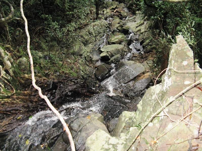 137 sunrise Road, Eumundi QLD 4562