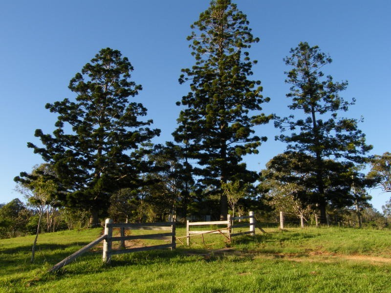 243 booloumba creek Road, Cambroon, Kenilworth QLD 4574