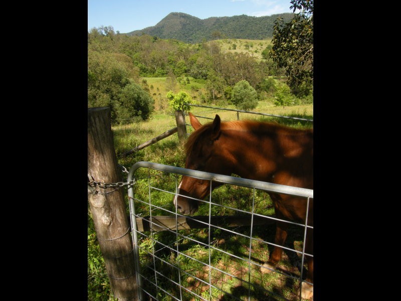 243 booloumba creek Road, Cambroon, Kenilworth QLD 4574