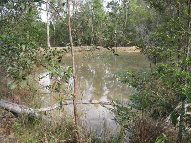 Belli Park QLD 4562