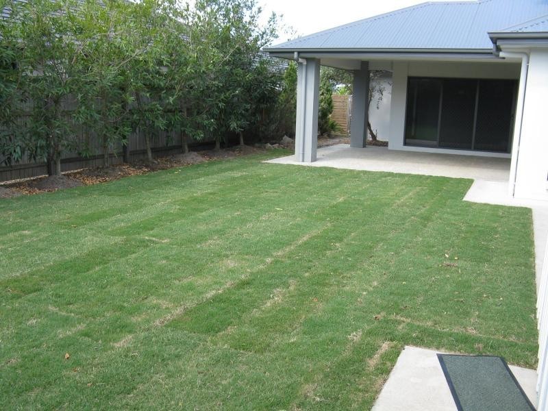 14 BURRELL Avenue, Eumundi QLD 4562