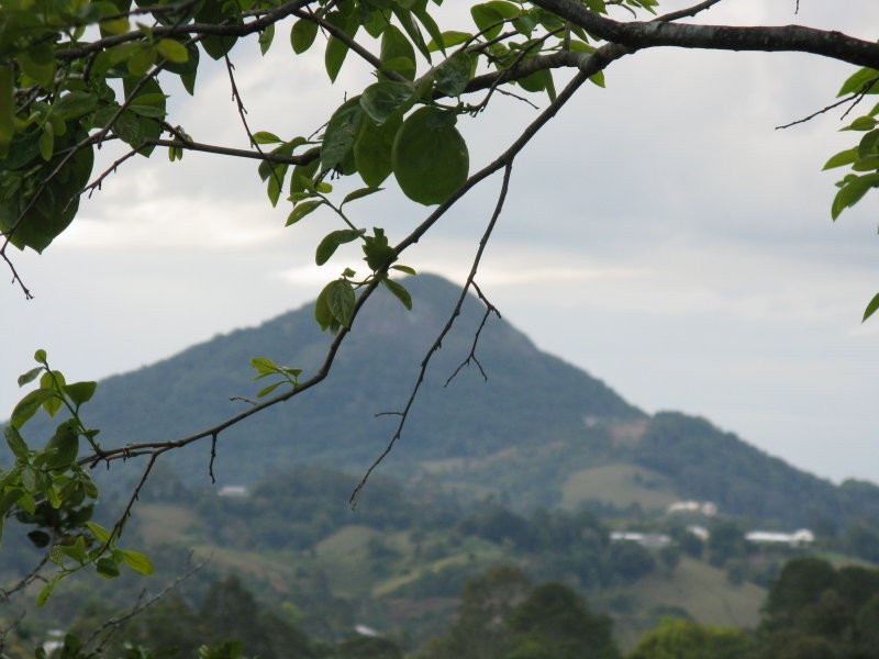 Lot 2 gridley Street, Eumundi QLD 4562