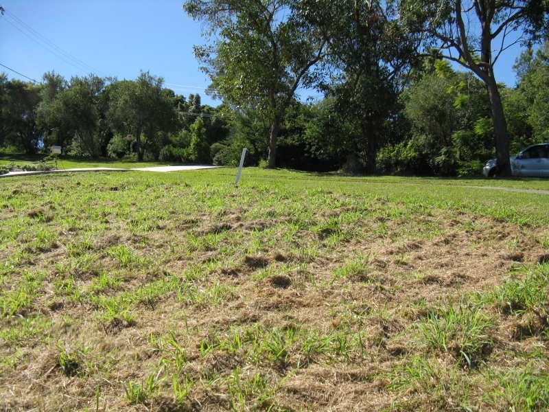 7 crescent Road, Eumundi QLD 4562