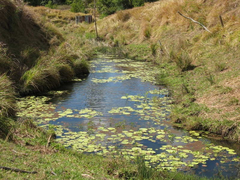 482 Eumundi Kenilworth Road, Eumundi QLD 4562