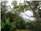 Eumundi QLD 4562